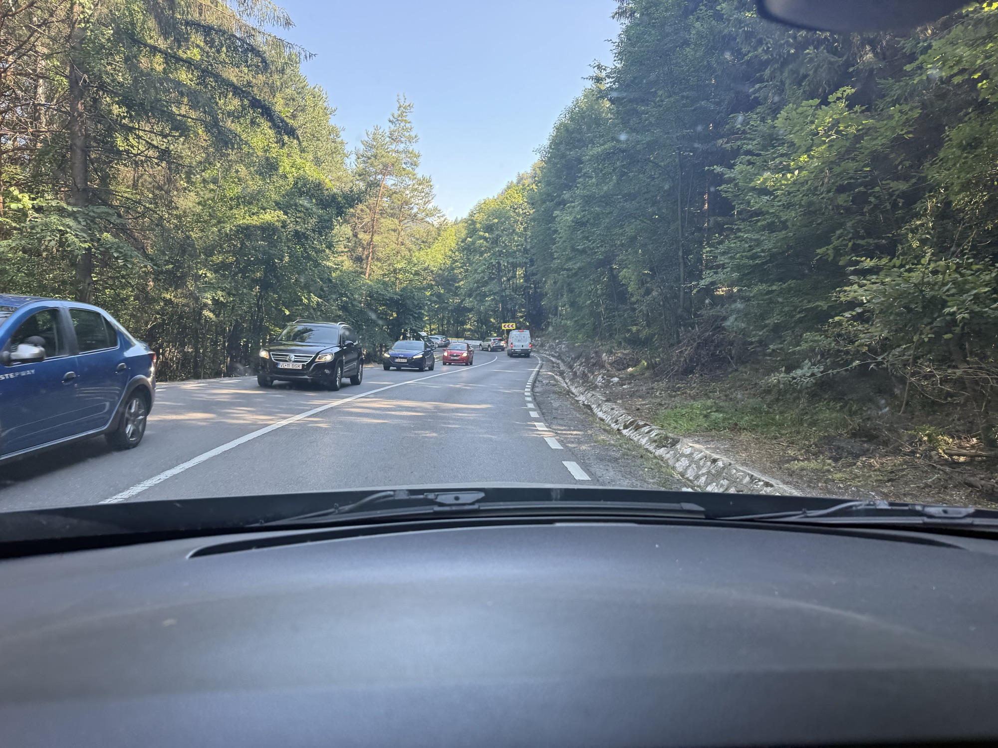 Straße durch den Wald in den Karpaten