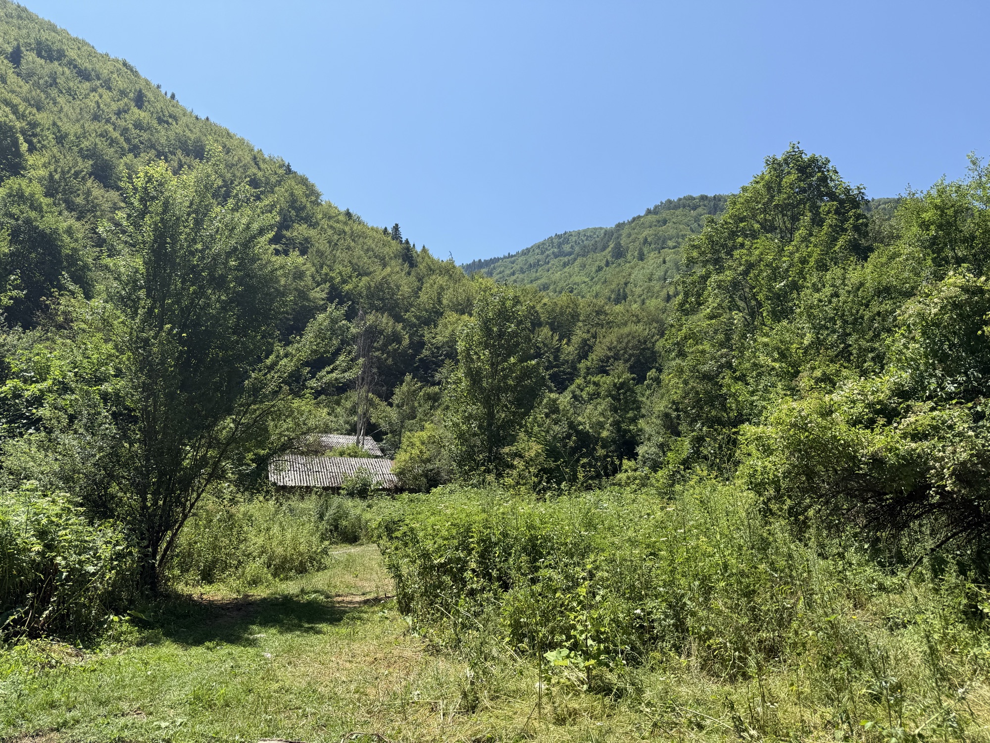 Blick ins Tal bei Pastra