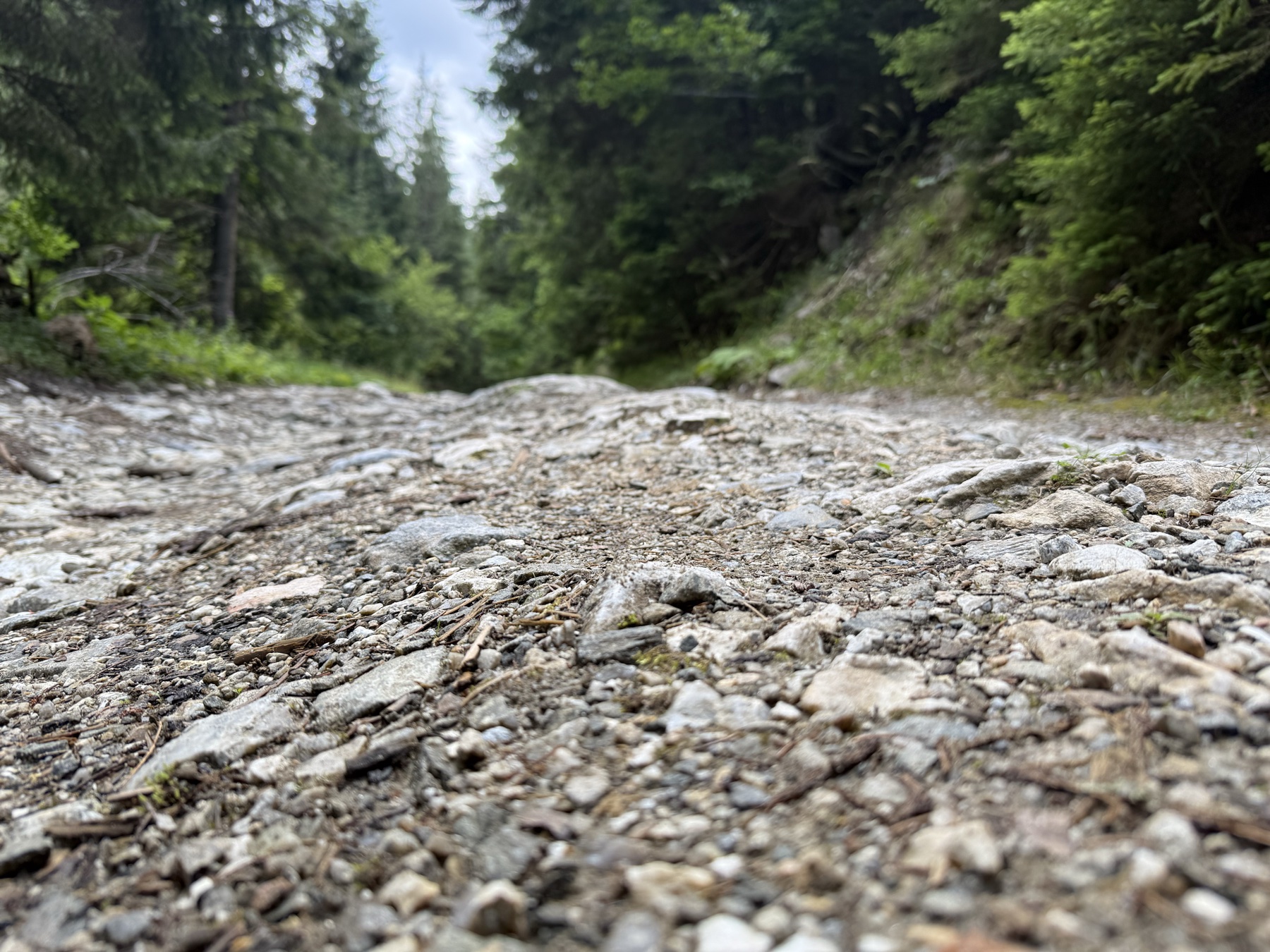 Steiniger Waldweg bei Zabardo